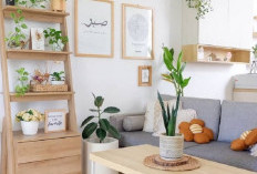 Bikin Napas Lebih Lega! Ini Pilihan Tanaman Hias Penyerap Polusi dalam Ruangan yang Cocok untuk Hunian Minimal