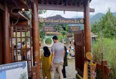 6 Rekomendasi Wisata Palutungan Kuningan yang Cocok untuk Libur Lebaran Keluarga & Ramah Anak