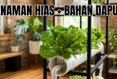 3 Tanaman Hias Hidroponik Dalam Ruangan Ini Bisa Sekaligus Jadi Bahan Dapur! Simak Daftarnya Hanya Disini