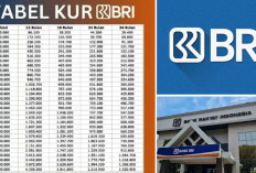 Cicilan Ringan Pinjaman Aman Menggunakan Tabel Angsuran KUR BRI Pinjaman 50 Juta Ini, Lengkap Dengan Syarat!