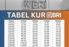 Pinjaman KUR BRI 2026 Sudah Dibuka, Nikmati Kredit Modal Usaha Hingga 100 Juta, Begini Syaratnya