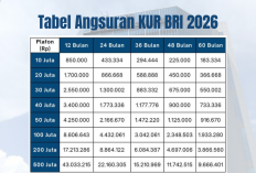 Tabel Angsuran KUR BRI 2026 Pinjaman Rp50 Juta, Cicilan Mulai Rp216 Ribuan & Bunga Ringan!