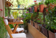 Bawa Berkah dan Keberuntungan Bagi Pemilik, Berikut 8 Tanaman Hias Depan Rumah yang Mudah di Rawat