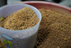 Lewat Pendampingan Gula Semut, Reforma Agraria Bangkitkan Ekonomi Desa Hargorejo Kulon Progo