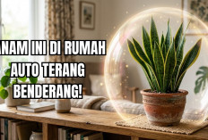 Dijamin Rumah Makin Terang Dengan Merawat 3 Tanaman Hias Pengusir Aura Negatif 