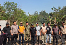 Mahasiswa KKN-T Desa Panjalin Kidul Wujudkan Program Beres Sampah di Desa