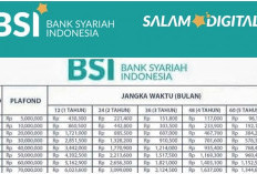 Pinjaman Syariah BSI Non KUR, Angsuran Mulai 2,5 Juta Sampai 5 Juta, Tanpa Bunga dengan Cicilan Sangat Ringan