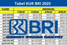 Syarat Pengajuan Pinjaman KUR BRI 2025, Berikut Plafon  yang Tersedia untuk UMKM dengan Bunga Hanya 3 Persen