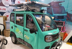 Hemat Biaya, Stabil dan Multifungsi, Selis Bromo Motor Listrik Roda Tiga Kabin Luas, Beban Maksimal 300 Kg