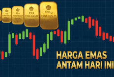 Harga Emas Antam Hari Ini 25 Februari 2026 Turun Tajam, UBS dan Galeri 24 Ikut Melemah!