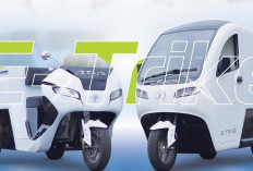Harga Motor Listrik Roda Tiga Ada yang 9 Juta Hingga 60 Juta, Cocok Buat Kendaraan Niaga Bagi Pelaku Usaha