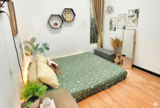 Perawatan Mudah Gak Mengotori, 6 Jenis Tanaman Hias untuk di Kamar Tidur yang Bisa Membawa Hoki di Tahun 2026