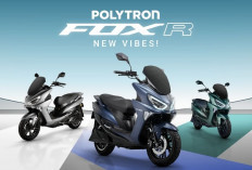 Kredit Motor Listrik Polytron Fox R Mulai 310 Ribu, DP Ringan, Hemat Biaya dan Cocok untuk Mobilitas Ojol