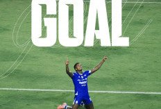 Ramon Tanque Brace, Persib Bandung vs Bhayangkara FC Tuntas 2-0