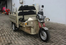 6 Motor Listrik Roda 3 Angkut Barang Paling Tangguh, Muatan Hingga 2 Ton, Harga Mulai Rp19 Jutaan