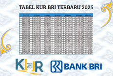 Pinjaman KUR BRI 100 Juta Angsuran Berapa, Dapatkan Angsuran Cicilan Mulai dari 146 Ribuan