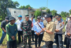 Kekeringan Melanda Panyingkiran, 72 Hektare Sawah Gagal Panen