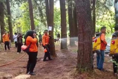 Karhutla Hanguskan 10,85 Hektare Lahan di Majalengka, BPBD Siagakan Personel 24 Jam