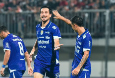 Total 7 Pemain Naturalisasi Gabung Super League, Apa Dampaknya bagi Timnas Indonesia?