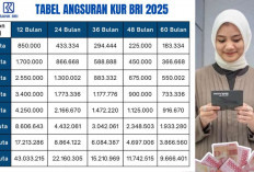 Bunga Ringan! Ini Tabel Angsuran KUR BRI 2025 Rp50 Juta dengan Cicilan 1 Jutaan