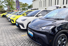 Simulasi Kredit BYD Atto 1 Murah Banget? Ini Skemanya! 