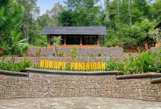 Liburan Lebaran Lebih Seru di Kuningan, Temukan 5 Destinasi Anti Mainstream dengan Panorama Alam Menawan   