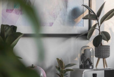Sejuk Dipandang, Sehat Dihirup, Rekomendasi 8 Tanaman Hias Pembersih Udara di Kamar untuk Rumah Lebih Alami