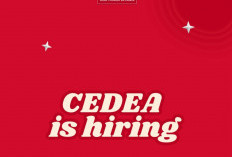 Lowongan Kerja Majalengka dalam 3 Hari Terakhir, PT Cedea Buka Banyak Posisi, Apa Aja?