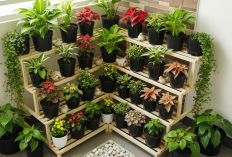 Cuma Tambah Tanaman Ini, Depan Rumah Auto Jadi Mewah! Bikin Tetangga Iri!