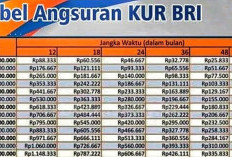 Update Syarat Pengajuan KUR BRI 2026, Cukup Penuhi Hal Ini untuk Bisa ACC Pinjaman Hingga 100 Juta