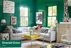 Rekomendasi Pakar Feng Shui! Ini 5 Warna Pembawa Rezeki di Tahun Kuda Api, Rumah Bisa Jadi Magnet Kekayaan!