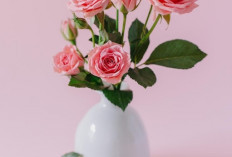 Tak Hanya Estetik, Ini 5 Tanaman Hias Bunga Pembawa Hoki untuk Dekorasi Interior yang Cantik & Harum Semerbak