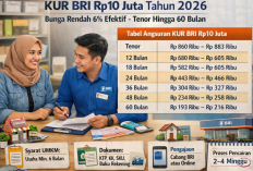 Pinjaman UMKM Bunga Rendah, Tabel KUR BRI 2026 Pinjaman 1 - 100 Juta Tanpa Agunan, Intip Besaran Bunga Terbaru