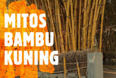 Bikin Rumah Asri dan Aman, 5 Tanaman Penangkal Santet yang Bisa Jadi Dekorasi di Rumah Dalam Primbon Jawa