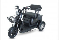 Mulai Rp15 Jutaan! Ini Harga Motor Listrik Roda Tiga dari Model Kabin Terbuka hingga Tertutup, Bisa Buat Usaha