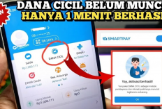 Menu DANA Cicil atau DANA Paylater Tidak Muncul? Ini Cara Mengaktifkannya dan Bisa Langsung Pinjam DANA 2 Juta