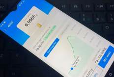 Tabung Emas Mulai dari Rp10 Ribuan, Apakah Investasi Emas di DANA Tahun 2026 Menguntungkan? Cek Panduannya!