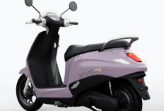 Paling Irit di Kelasnya, Ini Spesifikasi Motor Listrik VinFast Evo Grand Harga Terjangkau 10 jutaan Kecil