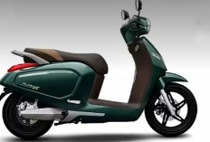 Bisa Diandalkan Buat Harian, Motor Listrik VinFast Evo Grand Bisa Tempuh 262 Km Plus Baterai Ganda