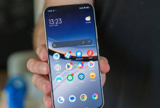 Beli Sebelum Tahun Baru dan Harganya Naik! Ini Rekomendasi Hp Akhir Tahun 2025 dari Range Harga 1 - 15 Jutaan