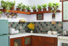 Pelancar Rezeki Pemilik, Ini 5 Tanaman Pembawa Rezeki dan Keberuntungan Serta Pandangan Islam