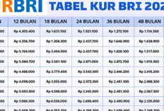 Rincian KUR BRI 2026, Berikut Plafon Pinjaman untuk UMKM Mulai dari 1 Juta Lengkap dengan Cicilan dan Tenor 