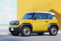 Hemat Bahan Bakar! 6 Rekomendasi Mobil Listrik Murah di Bawah 200 Juta yang Layak Dibeli di Tahun 2026