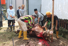 Idul Adha 1447 H, Lapas Majalengka Salurkan Daging Kurban kepada 335 Warga Binaan