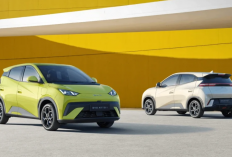 Cicilan 3 Jutaan, Tabel Angsuran Mobil Listrik BYD Atto 1, Simulasi Kredit Model Dynamic dan Premium 2026