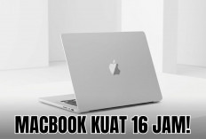 Penyimpanan Luas Hingga Tahan Daya 16 Jam, Ini Spesifikasi MacBook Neo Untuk Rekomendasi Kamu di Tahun 2026!