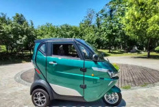 Pilihan Motor Listrik Roda 3 Anti Hujan, Salah Satunya Ada Merek China dari Pabrikan Shandong Runhorse