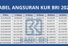 Bunga Rendah 3% per Tahun, Berikut Tabel Angsuran KUR Super Mikro BRI 2026 Plafon Rp1–10 Juta!