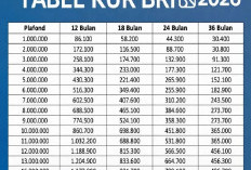 Pinjaman KUR BRI 2026 Plafon Terbaru, Berikut Rincian Simulasinya untuk UMKM