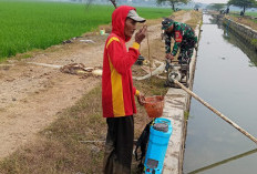 Babinsa Kodasari Dampingi Petani Atur Irigasi Bergilir, Antisipasi Kekeringan di Lahan Sawah Majalengka
